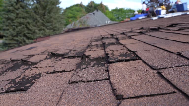 Best Tile Roofing Installation  in Melrose Park, NY