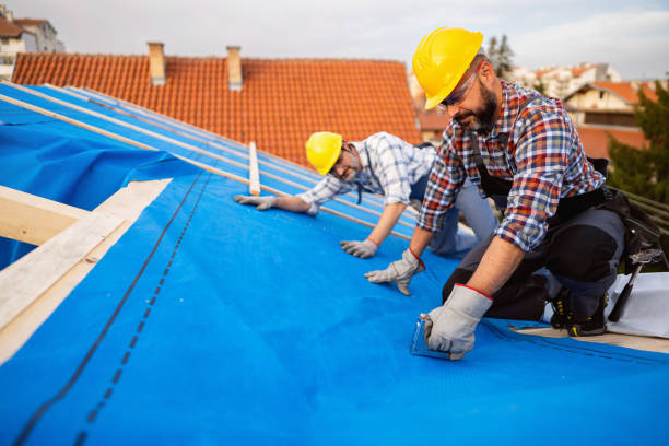 Best Roof Coating and Sealing  in Melrose Park, NY